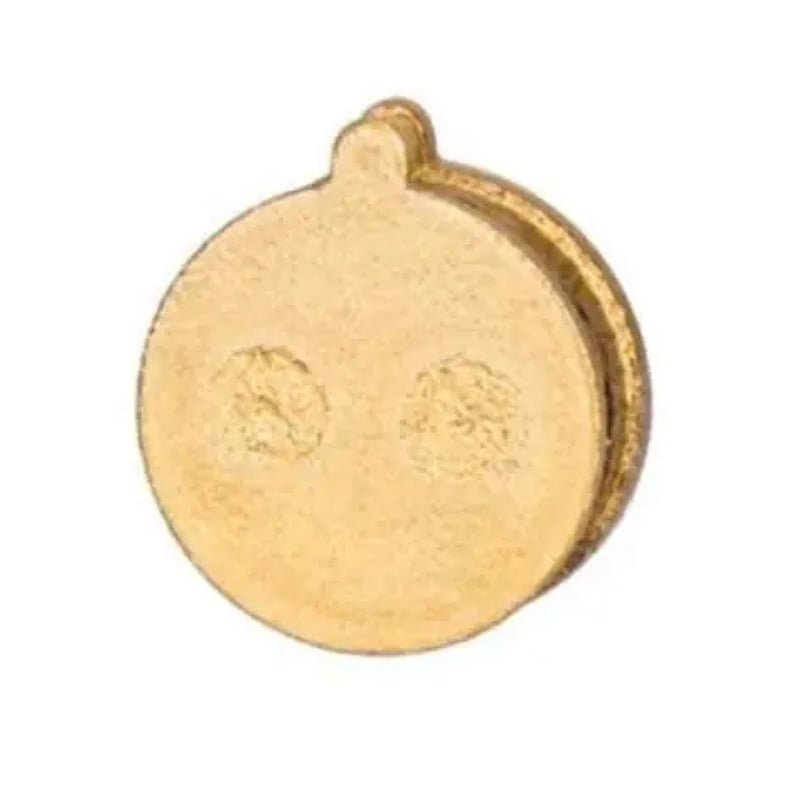 pastilla freno smartgyro