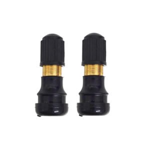 long tubeless valve