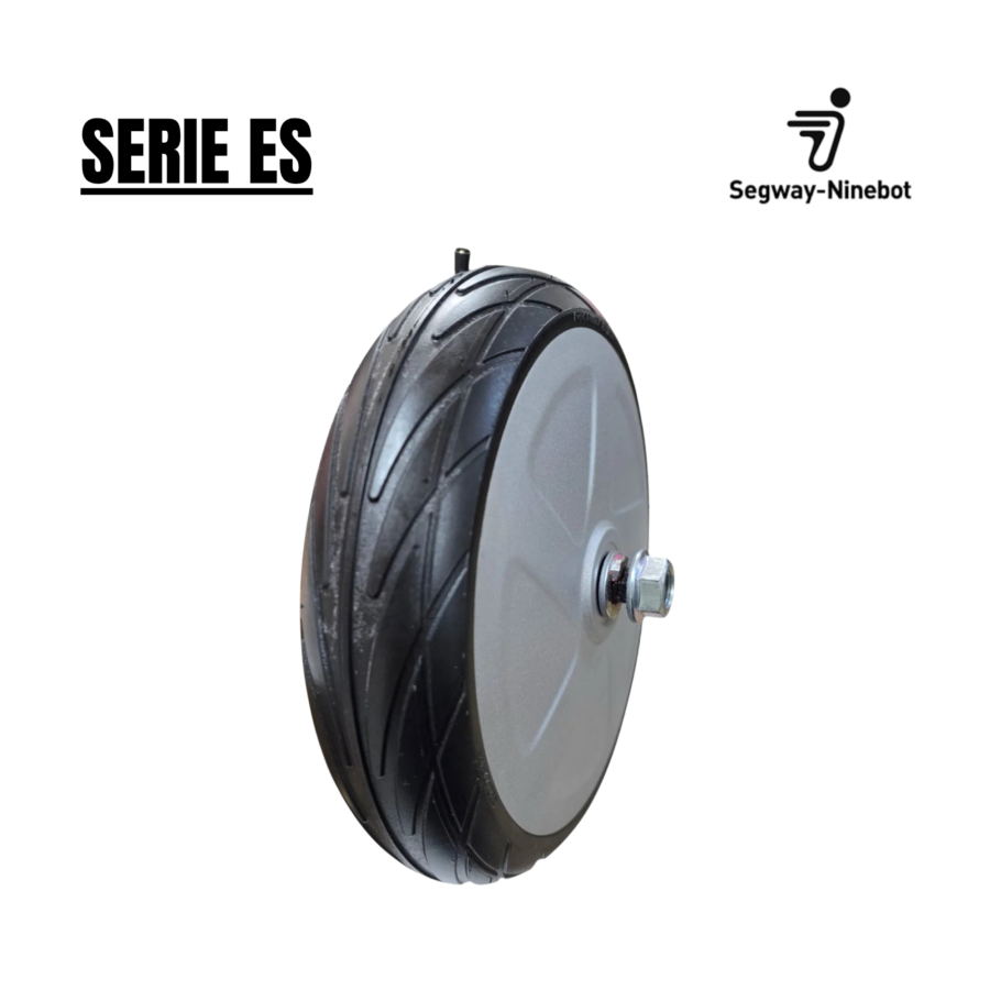 Motor 36V 300W gris  para Ninebot Serie ES  [Original]